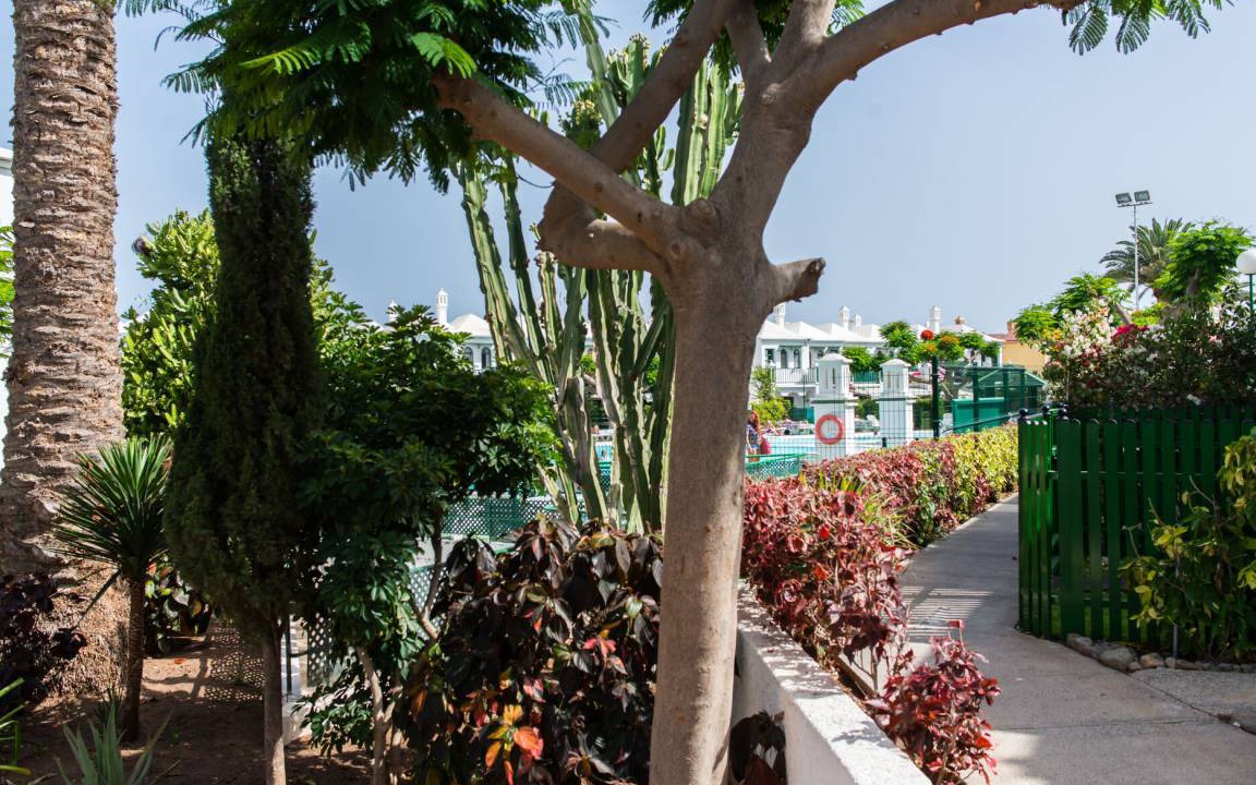 Photo of Others in Campo Internacional Maspalomas