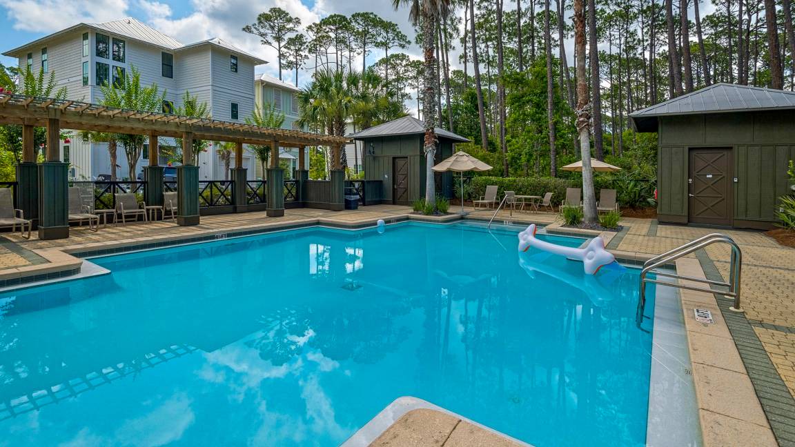 Photo of Outdoor in Treetop