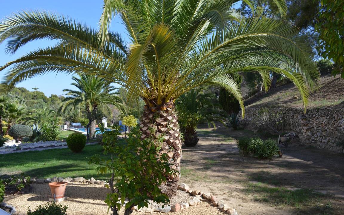 Photo of Outdoor in Moravit