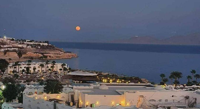 Photo of Others in Sharm El Sheikh