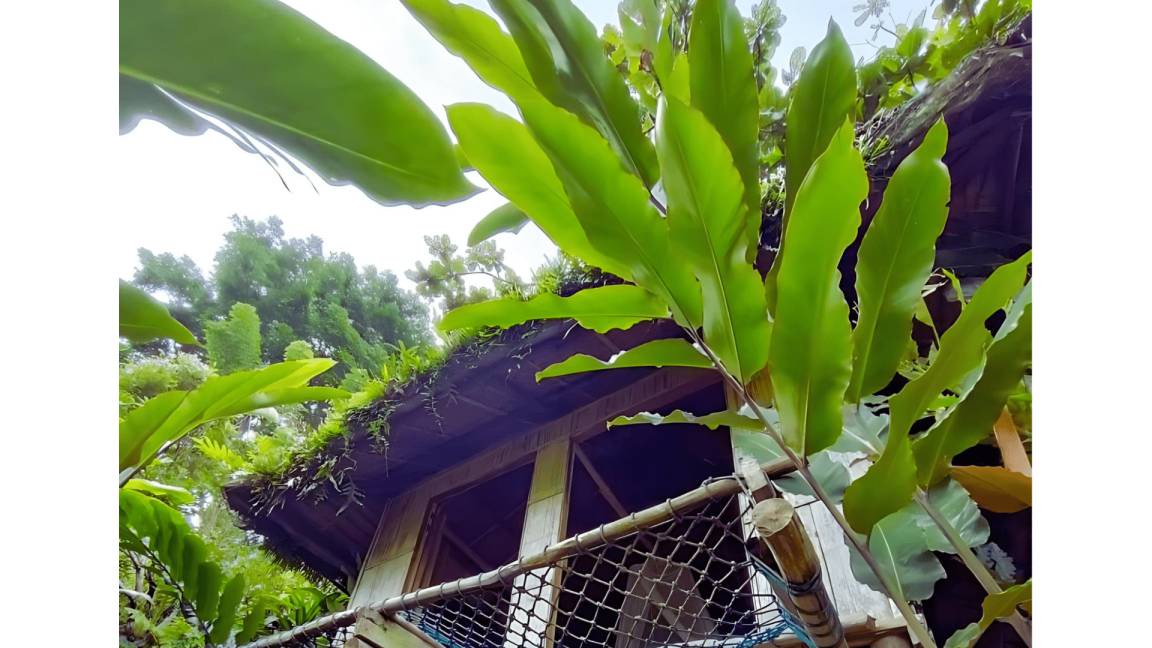 Photo of Others in Siquijor