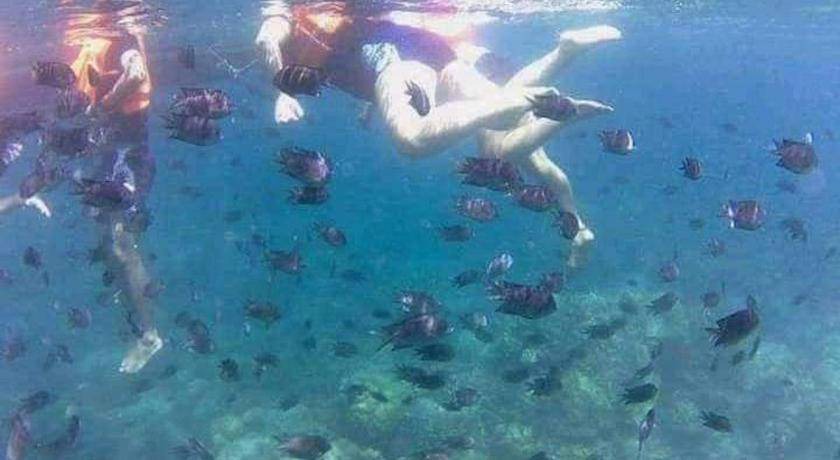 Photo of Human In Picture in Lian