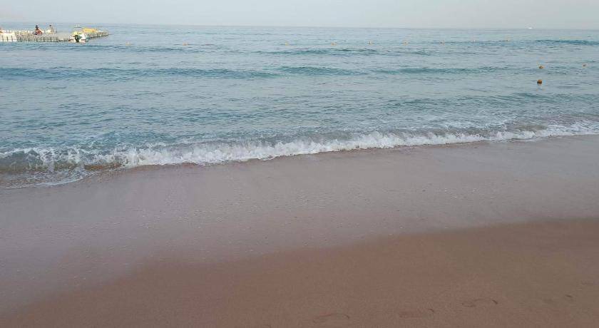 Photo of Others in Sharm El Sheikh