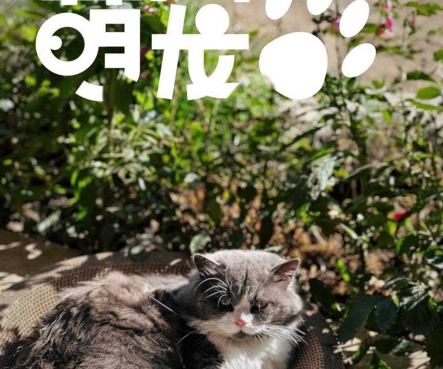 Photo of Others in Yulong