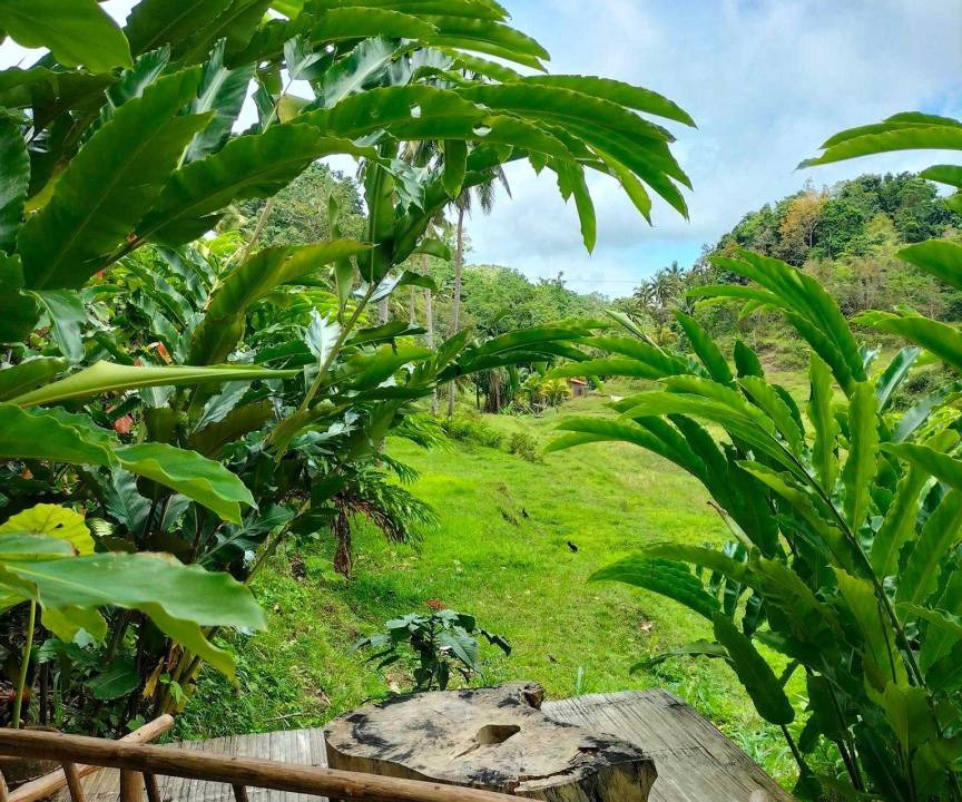 Photo of Others in Siquijor