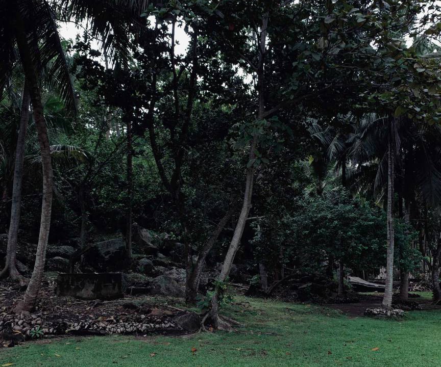 Photo of Others in Bay Lake