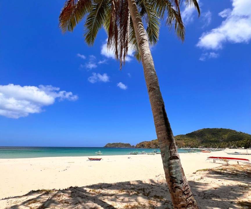 Photo of Others in El Nido