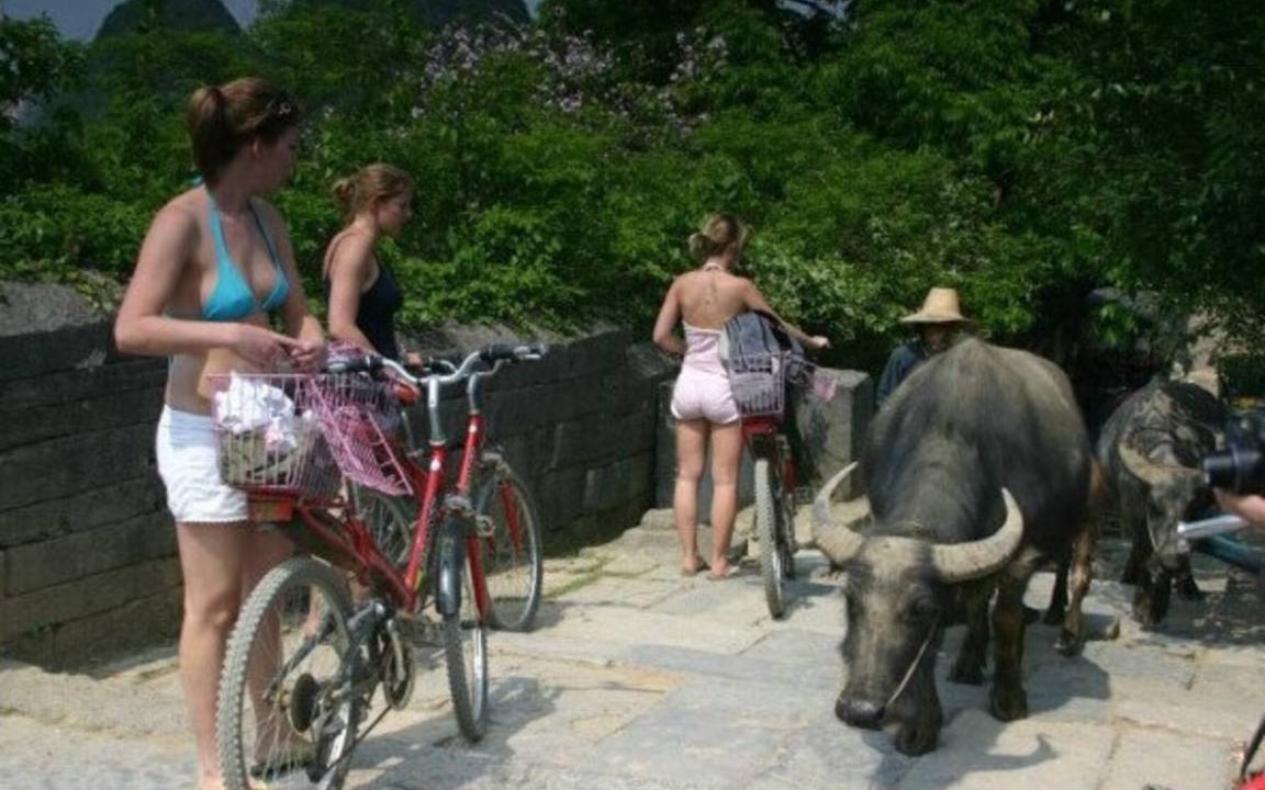 Photo of Others in Yangshuo
