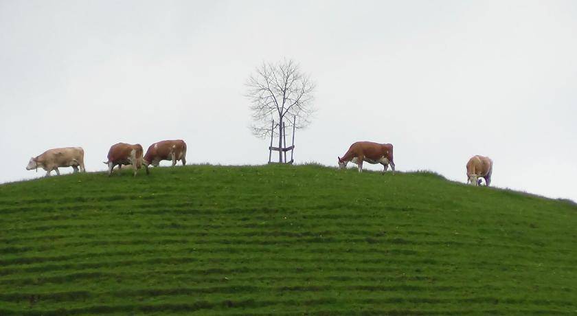 Photo of Others in Goldiwil