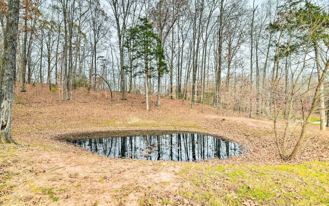Photo of Others in Burkesville