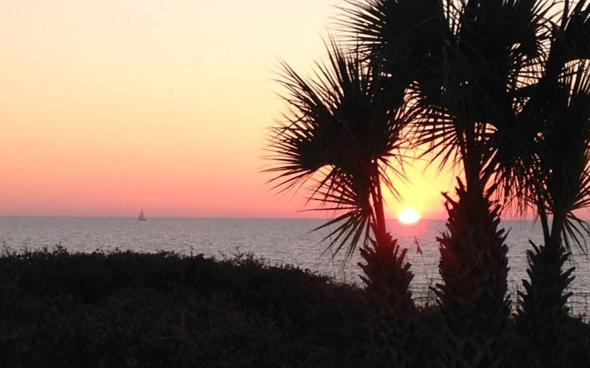 Photo of Others in Port St. Joe
