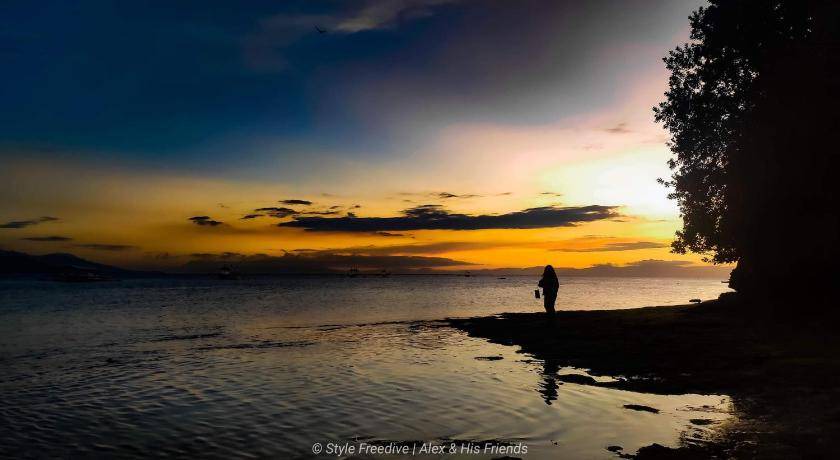 Photo of Human In Picture in Moalboal