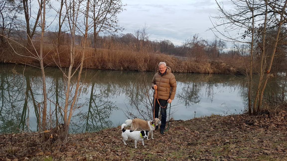 Photo of Others in Fehring