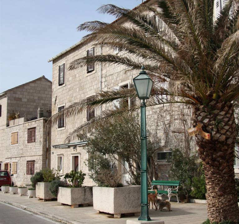 Photo of Others in Pucisca