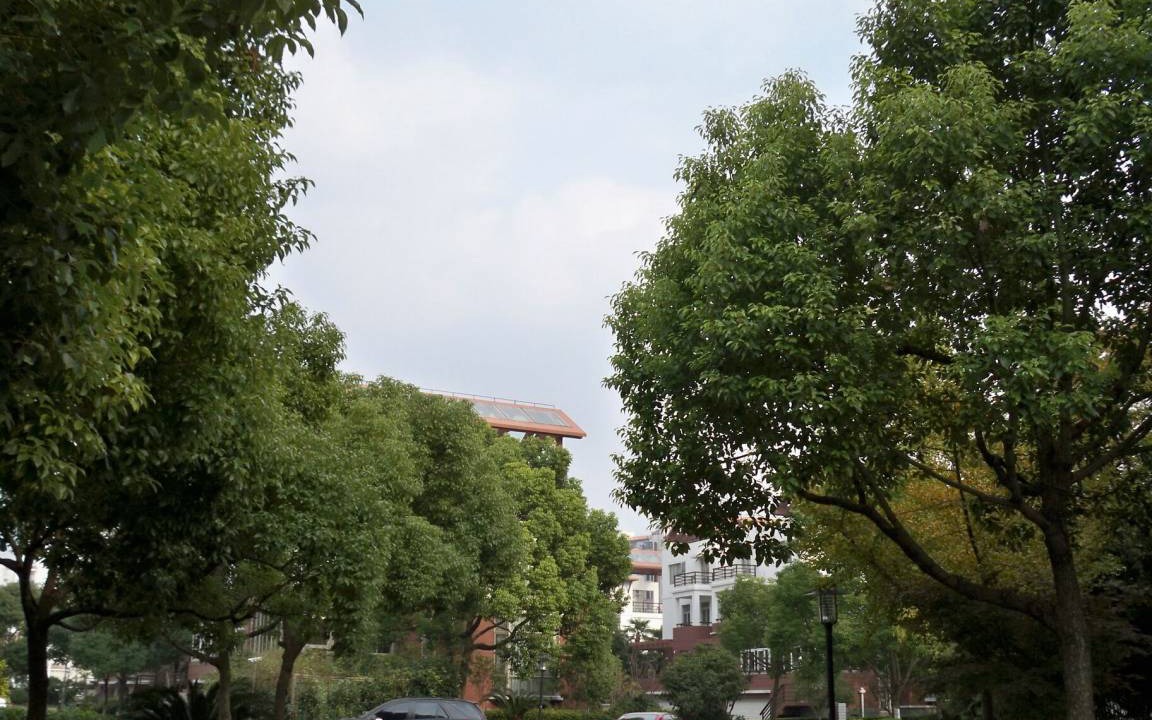 Photo of Others in Pudong