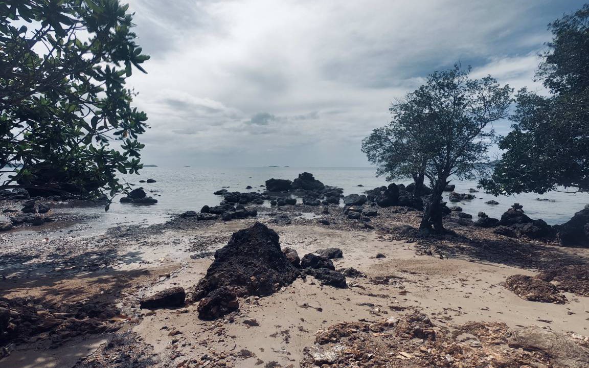 Photo of Others in Busuanga