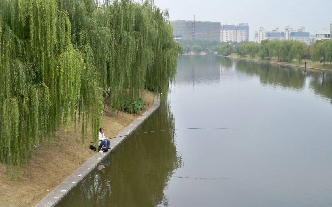 Photo of Others in Pudong