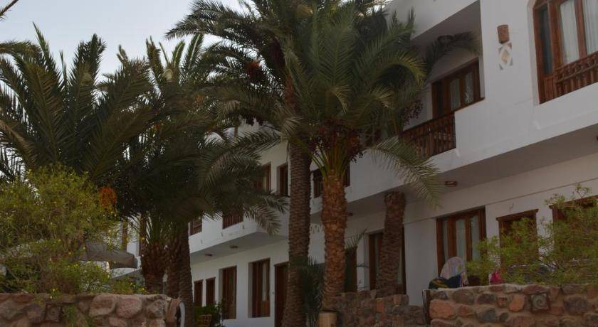Photo of Others in Dahab
