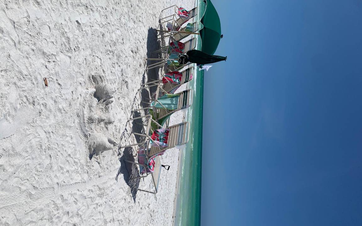 Photo of Others in Siesta Key