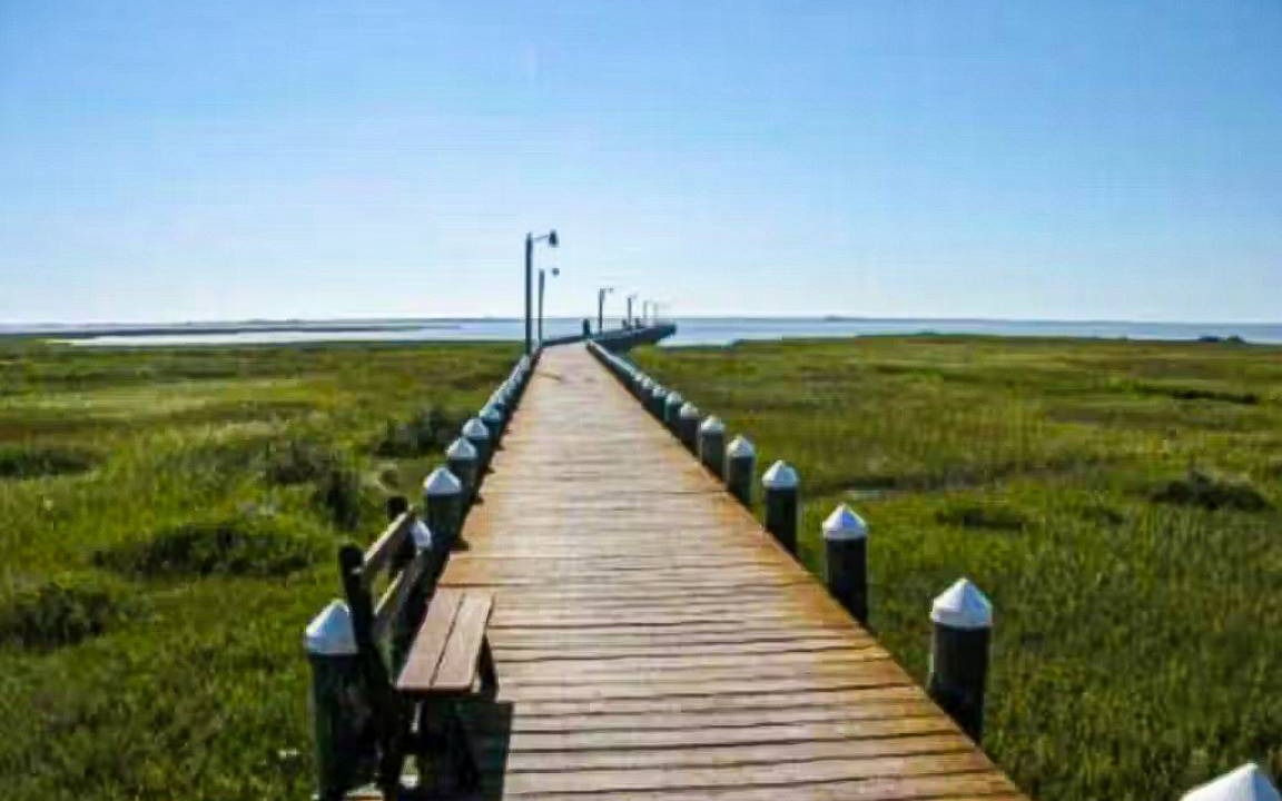Photo of Others in Assateague Pointe