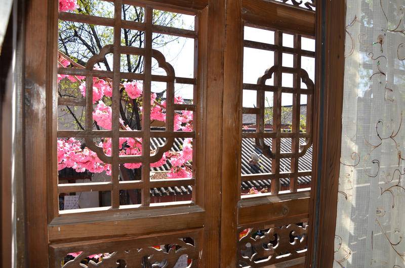 Photo of Others in Shuhe Old Town