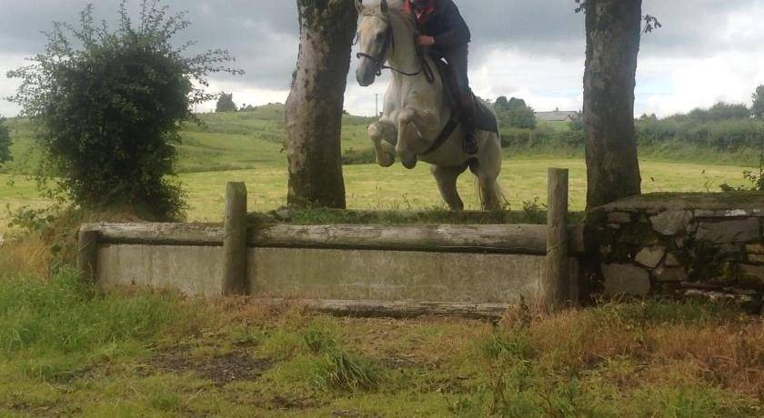 Photo of Others in Bailieborough