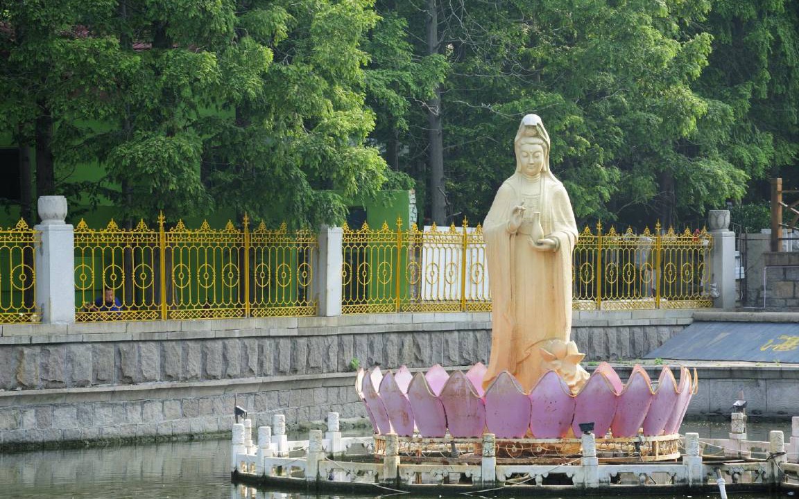 Photo of Others in Shinan District