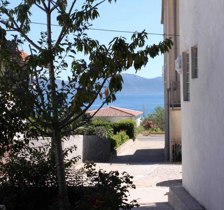 Photo of Others in Podaca