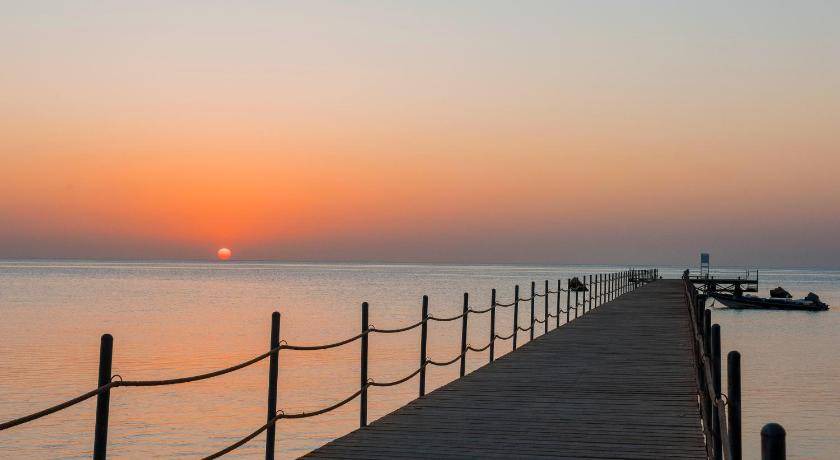 Photo of Others in Marsa Alam