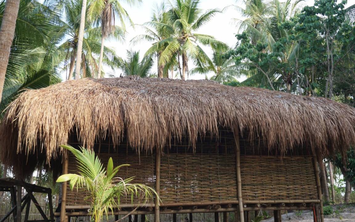Photo of Others in Linapacan