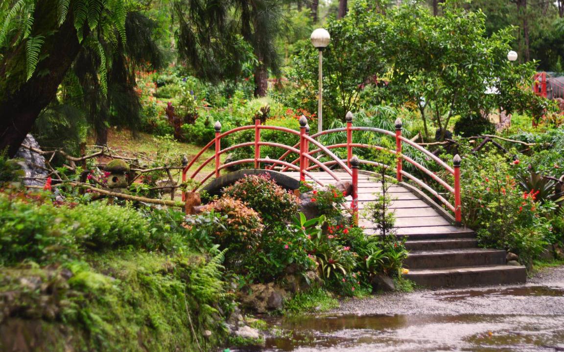 Photo of Others in Baguio