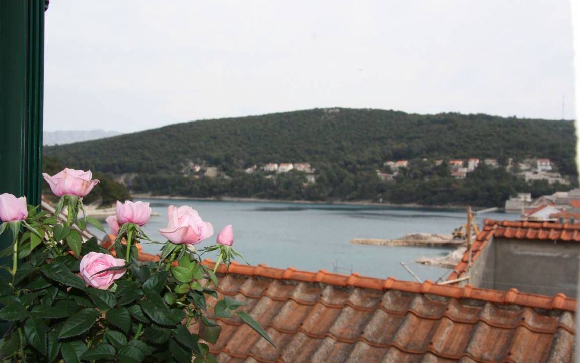 Photo of Others in Pucisca