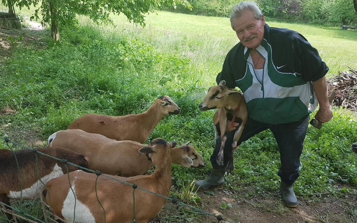 Photo of Others in Fehring