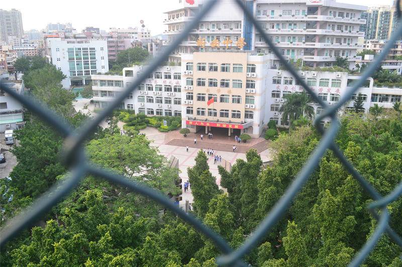 Photo of Others in Bao'an