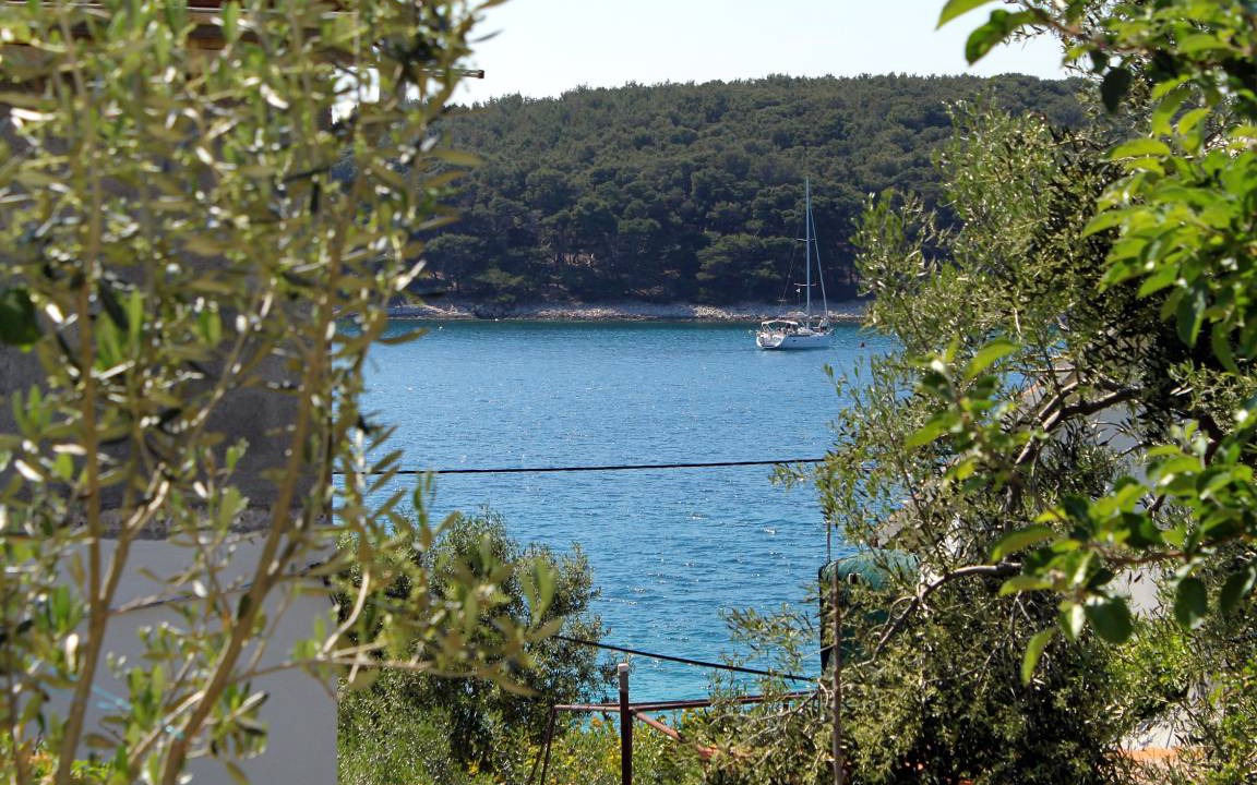Photo of Others in Molat