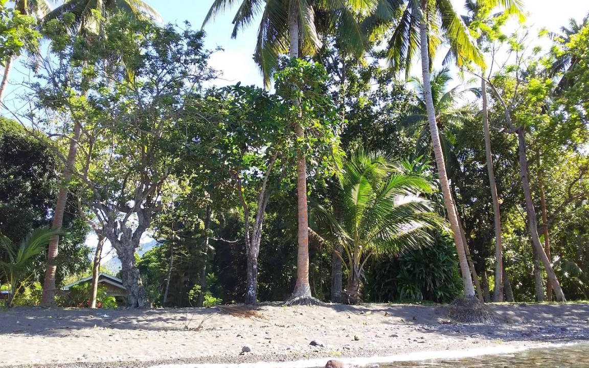 Photo of Others in Mambajao
