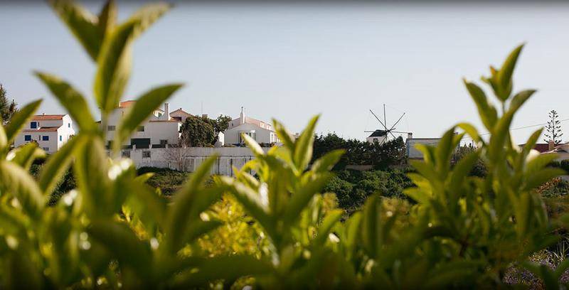 Photo of Others in Ericeira