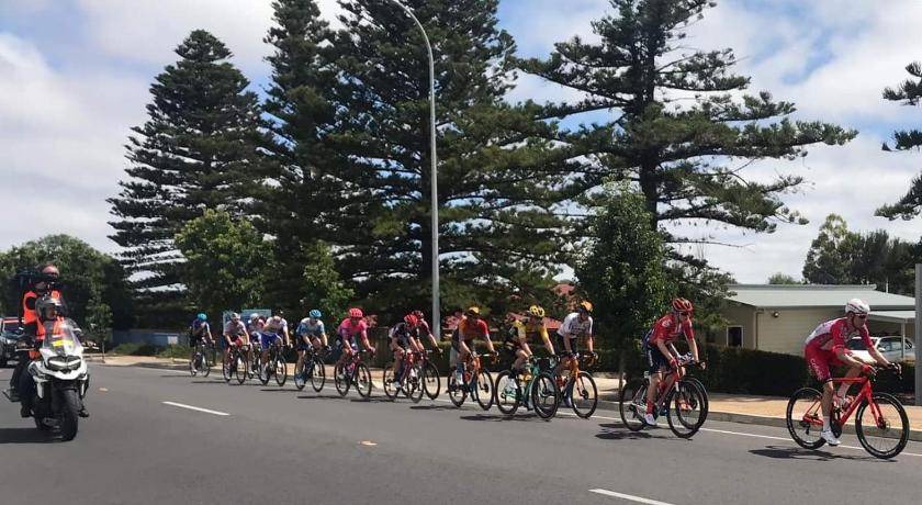 Photo of Others in McLaren Vale