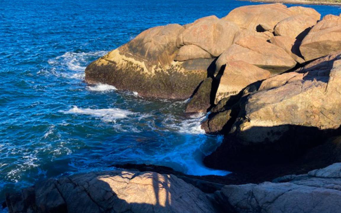 Photo of Others in Rockport