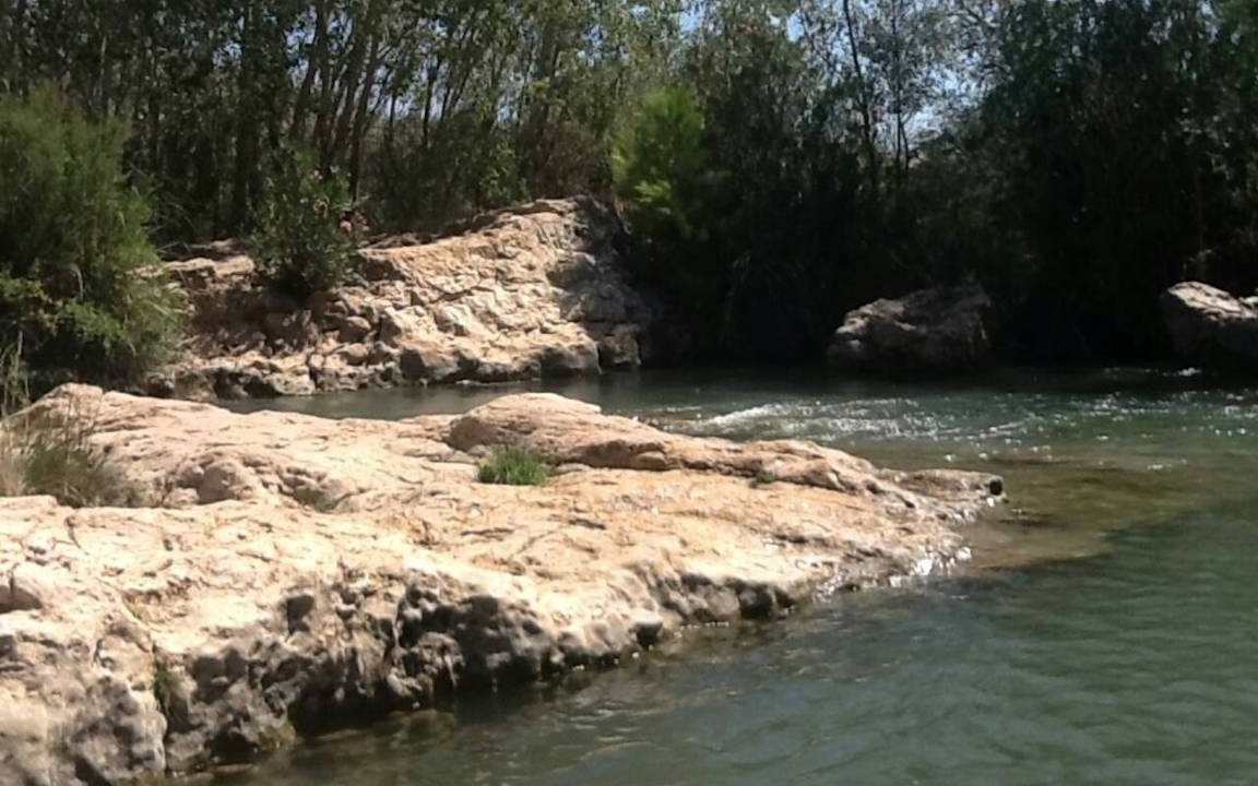 Photo of Others in Pedralba