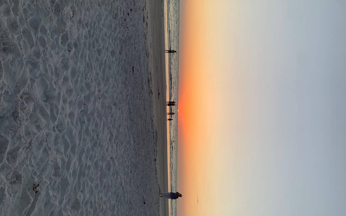 Photo of Others in Siesta Key