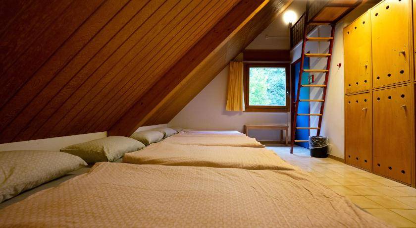 Photo of Bedroom in Delemont