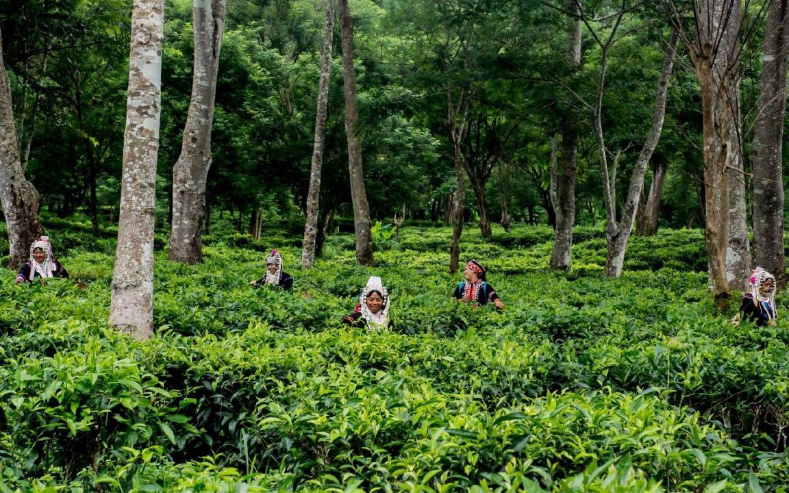 Photo of Others in Mae Taeng