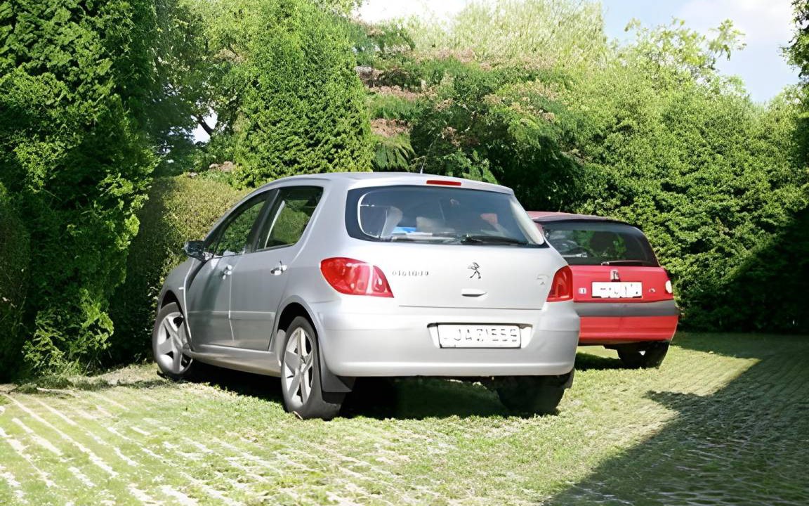 Photo of Others in Csillaghegy