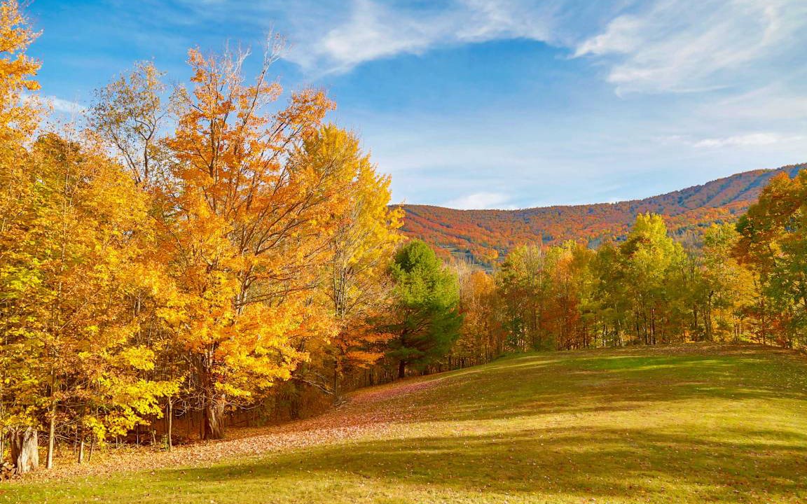Photo of Others in Windham