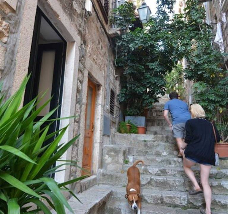 Photo of Others in Dubrovnik Old Town
