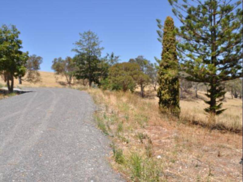 Photo of Others in Angaston