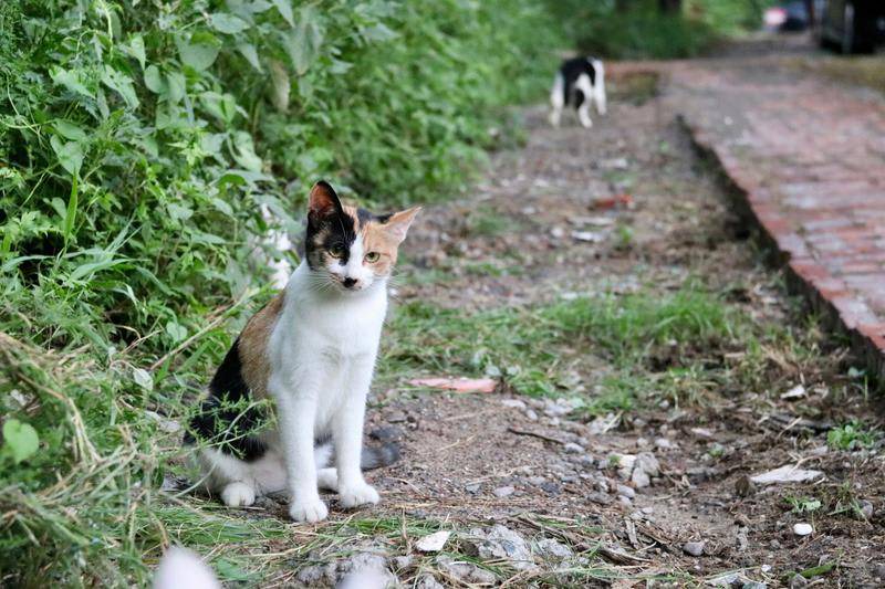 Photo of Others in Miyun District