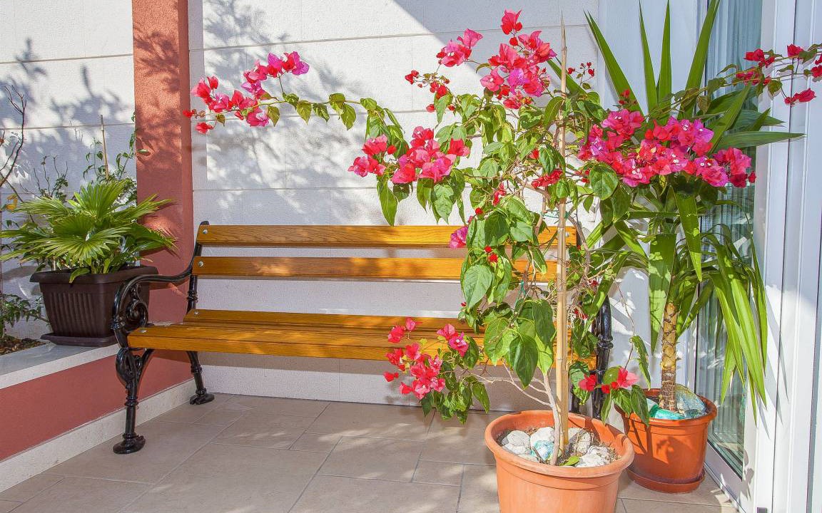 Photo of Patio Balcony in Podgora