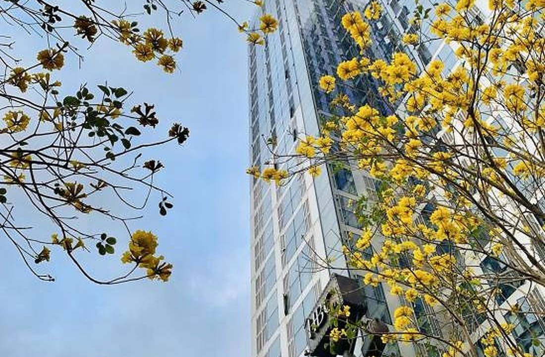 Photo of Others in Longhua District